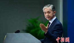 汪文斌爆料成蕾视频,真相背后引人深思”