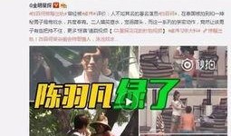 三姐被捉爆料视频录屏,揭秘背后惊人真相