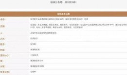 松江新闻爆料电话号码,揭秘市民爆料背后的故事