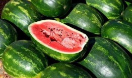 日照吃瓜群免费,免费畅享夏日清凉，共享欢乐时光