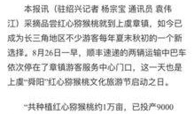 杭州日报热点爆料新闻事件,揭秘杭州最新热点爆料事件背后的真相