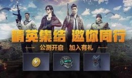和平精英爆料壮哥视频下载,独家揭秘游戏新动态与精彩瞬间
