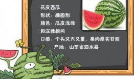伯爵府吃瓜日常免费阅读,免费阅读，揭开贵族生活的神秘面纱