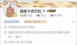 爆料四姐视频大全下载免费,免费下载，精彩内容一网打尽