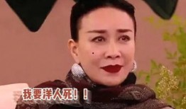 娱乐吃瓜酱的歌曲大全集,歌曲大全集，带你领略音乐盛宴