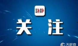 七星关区新闻爆料,聚焦民生热点，揭示社会动态