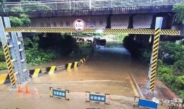 日照吃瓜群免费,免费畅享夏日清凉，共享欢乐时光