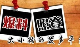台北最新爆料新闻,最新事件引发社会热议