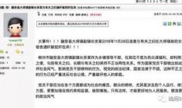 11月高招最新爆料新闻,揭秘热门专业录取趋势与招生政策调整”