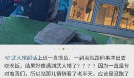 陈锦涵最新爆料,揭秘娱乐圈惊人内幕！