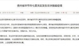 七星关区新闻爆料,聚焦民生热点，揭示社会动态