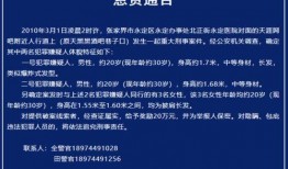爆料新闻事件有报酬吗,揭秘爆料新闻背后的报酬之谜