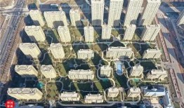 齐河绿城爆料案件最新,揭秘背后惊人真相与维权之路